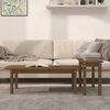 vidaXL Coffee Table Set Honey brown Solid pine wood Large Stackable