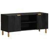 vidaXL TV Cabinet Black Engineered wood, Solid mango wood, Brass