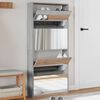 vidaXL Shoe Cabinet Grey Sonoma Engineered wood, glass Compact