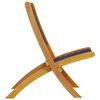 vidaXL Folding Garden Chair Set of 2 Dark blue, Brown