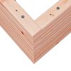 vidaXL Garden Planter Natural wood Solid Douglas wood Medium