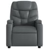 vidaXL Electric Stand Up Massage Recliner Chair Gray