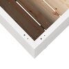 vidaXL Garden Planter White Solid pine wood Medium Planters