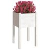 vidaXL Garden Planter Set of 2 White Solid pinewood Medium