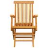 vidaXL Garden Chair Set of 2 Teak Wood Fine sanded teak hardwood