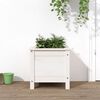 vidaXL Garden Planter White Solid Pine Wood 15.7 x 15.7 x 15.4 in