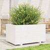 vidaXL Garden Planter White Solid pine wood 35.4 x 23.6 x 19.5 in