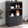 vidaXL Sideboard Black Cold-rolled steel 26.4x15.4x42.1 in Sideboard
