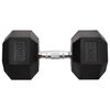 vidaXL Dumbbell 66.1 lb Cast Iron