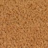 vidaXL Door Mat Natural Coir, PVC 19.7 x 31.5 in Durable Door Mat