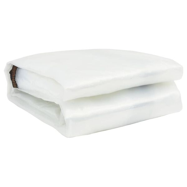 vidaXL Clear Tarpaulin with Eyelets 32.8x39.4' Polyethylene