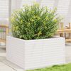 vidaXL Garden Planter White Solid pinewood 31.5 x 31.5 x 18.1 in