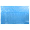 vidaXL Pool Cover Blue Polyethylene 236.2 x 118.1 in Expandable