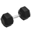 vidaXL Dumbbell 49.6 lb Cast Iron