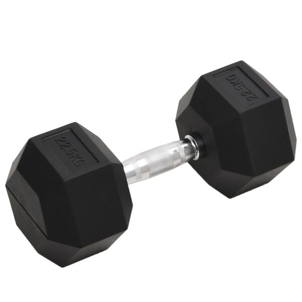 vidaXL Dumbbell 49.6 lb Cast Iron