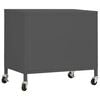 vidaXL Storage Cabinet Anthracite Steel 23.6 x 13.8 x 22.0 in