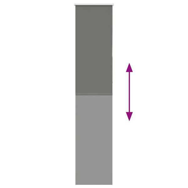 vidaXL Roller Blind Grey 100% polyester, aluminum 21.7 x 90.6 in