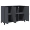 vidaXL Sideboard Anthracite 39.6"x15.4"x28.3" Steel