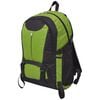 vidaXL Hiking Backpack 10.6 gal Black and Green