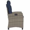 vidaXL Reclining Garden Chair Grey PE Rattan Standard