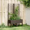 vidaXL Garden Planter Brown Polypropylene Medium Garden Planter