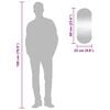 vidaXL Wall Mirror Transparent Glass 9.8x23.6 in Mirror Wall Mirror