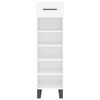 vidaXL Shoe Cabinet High Gloss White Engineered Wood, Iron Compact