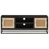 vidaXL TV Cabinet Black Solid mango wood, Iron TV Cabinet Rectangular