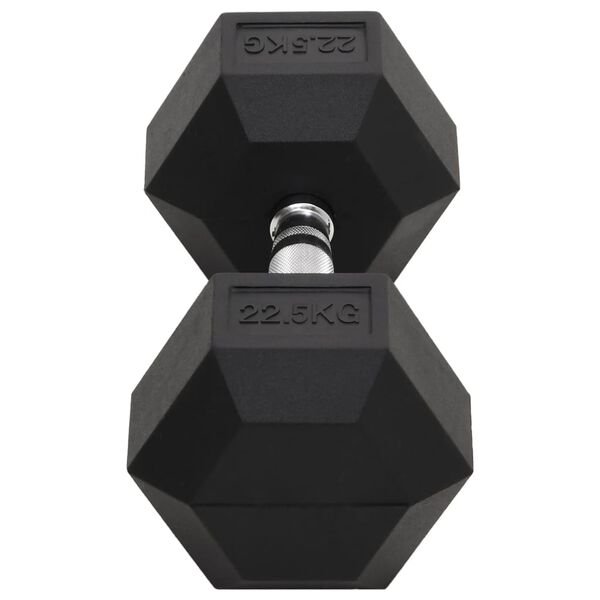 vidaXL Dumbbell 49.6 lb Cast Iron