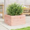 vidaXL Garden Planter Natural wood Solid Douglas wood 15.7x15.7x9.1 in