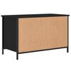 vidaXL TV Cabinet Black Engineered wood, Iron Standard TV Cabinet