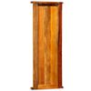 vidaXL Coat Rack Set of 2 Multicolor Solid reclaimed wood Wall mounting