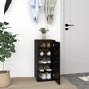 vidaXL Shoe Cabinet Black Engineered Wood Standard Shoe Cabinet