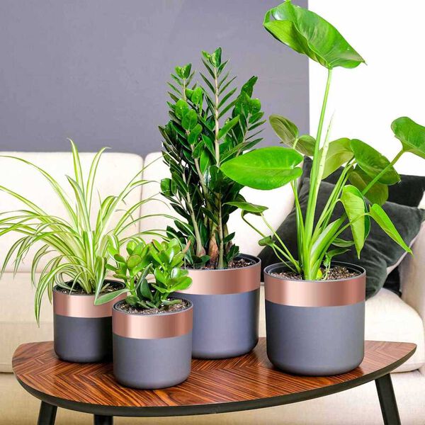 vidaXL Copper Tape Copper 787.40 x 2.76 in Copper