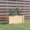 vidaXL Garden Planter Natural Wood Solid pinewood Medium