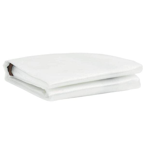 vidaXL Clear Tarpaulin with Eyelets 6.6x9.8' Polyethylene