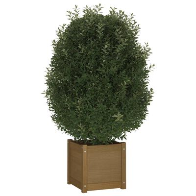 vidaXL Garden Planter Honey Brown 15.7"x15.7"x15.7" Solid Wood Pine