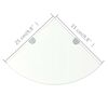 vidaXL Corner Shelf Set of 2 Clear Tempered glass 9.8 x 9.8 in