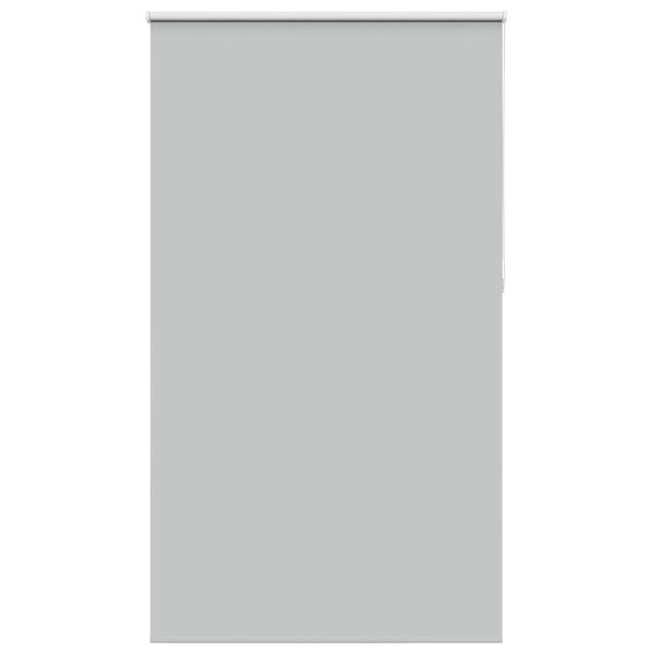 vidaXL Roller Blind Light Grey 100% Polyester 49 x 90.6 in Roller Blind