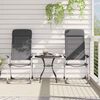 vidaXL Folding Camping Chairs 2 pcs Gray Aluminum