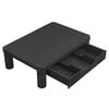 vidaXL Monitor Stand Black HIPS (high impact polystyrene) Medium