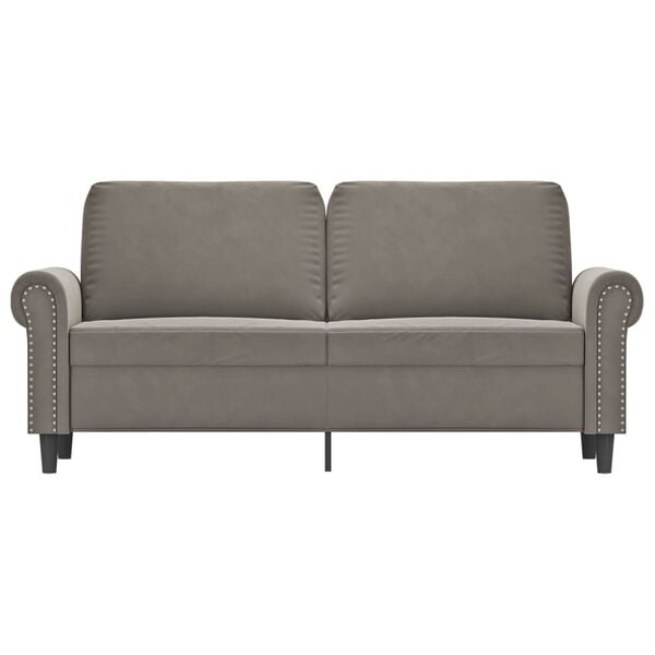 vidaXL 2-seater Sofa Light grey Velvet (100% polyester), metal, plywood