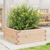 vidaXL Garden Planter Natural Wood Solid Pine Wood Medium