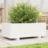 vidaXL Garden Planter White Solid pinewood Decorative Inlays