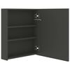 vidaXL Bathroom Cabinet Anthracite MDF Wall-Mounted Mirror Cabinet