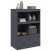 vidaXL Highboard Anthracite Cold-rolled steel 26.4x15.4x37.4 in