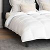 vidaXL Duvet Set with Pillow 3 pcs White Down Feather