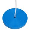 vidaXL Plate Swing Blue PE Large Height-Adjustable Plate Swing Round