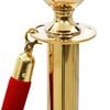 vidaXL Stanchion Stand Rope Red and Golden Velvet