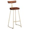 vidaXL Bar Stool Set of 2 Brown and Gold Solid Mango Wood, Iron Standard